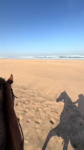 Take me back 🥹🇲🇦 #horsegirl#fypシ゚ #viralvideos #memories #morocco🇲🇦 #viralvideos 