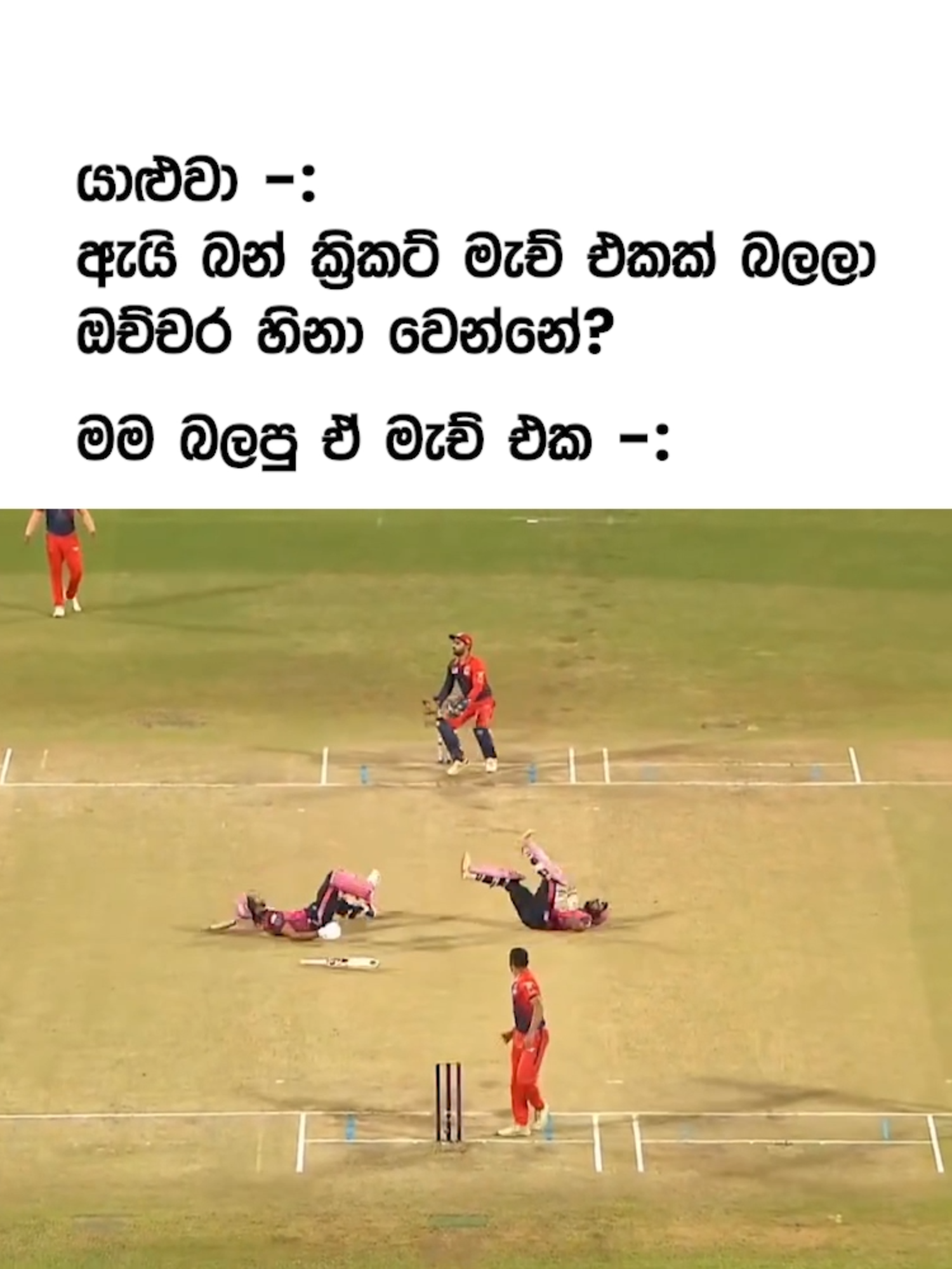 absolute cinema 😅  #cricketmatch#tiktoksrilanka #fyp #foryou #cricket #funny #funnyvideo #cricketmatch