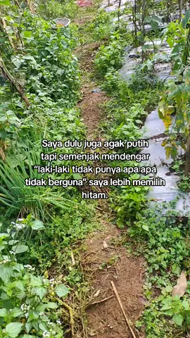 ya begitulah:| #petanimuda #petaniindonesia🇮🇩🇮🇩🇮🇩🌿🌿 