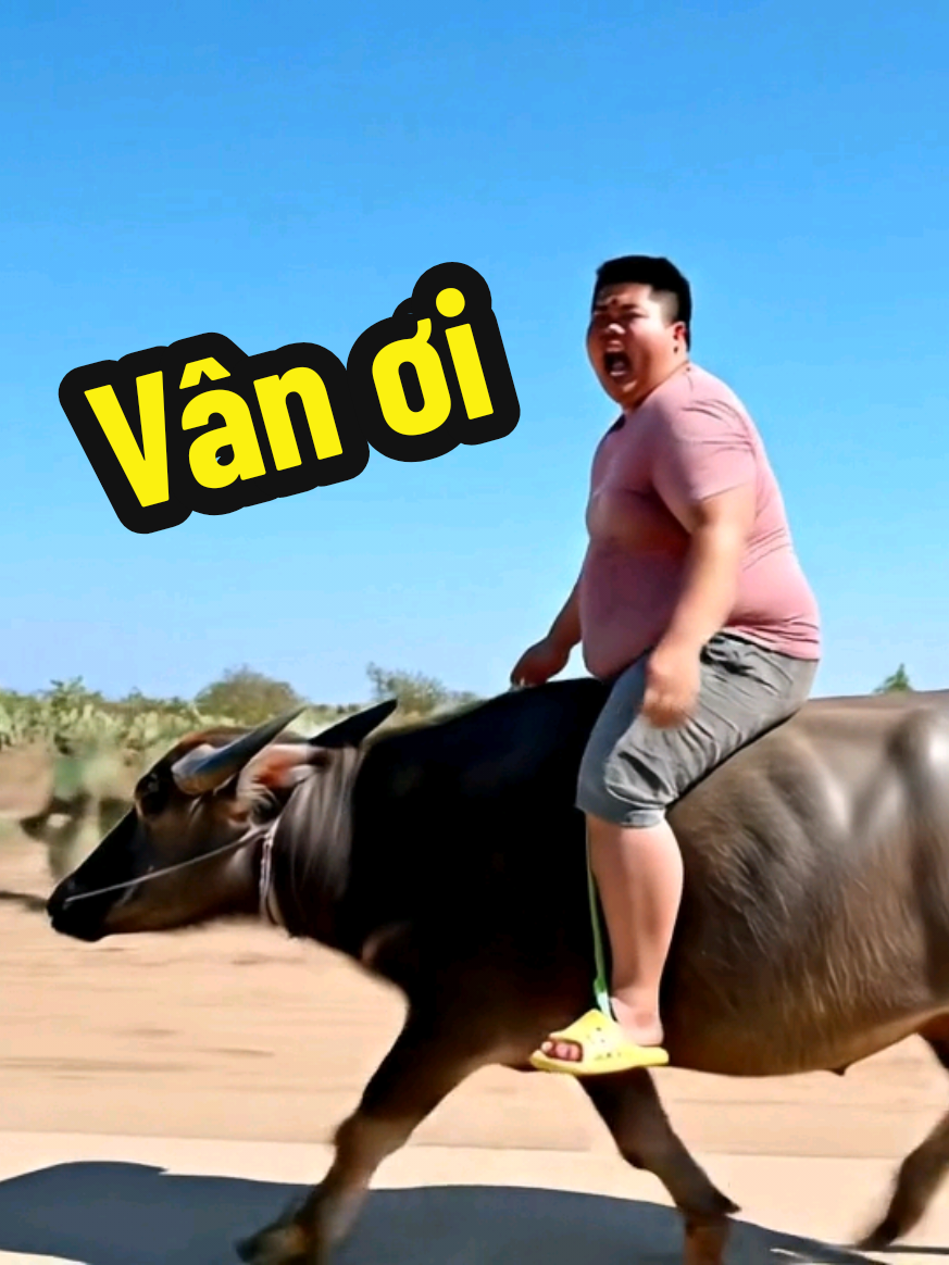Trả lời @dywgfih8u8zc Vân ơi em ở đâu #shortvideo #ai #AI #shorts #xuhuong #xuhuongtiktok #