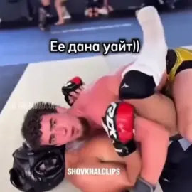 Шахвал проиграл 126 номеру. Получится ли взять пояс в UFC? #ufcmemes #шовхалчурчаев #мма #бои 