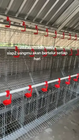 ✨PRING LAND ✨ Property Pangan Sektor Peternakan ➡️ Hanya 100jtan/Unit Villa Peternakan.....😍 Miliki segera... ➡️ Villa Peternakan Produk Ayam Petelur ➡️ Villa Peternakan Bebek Petelur ✨Dapatkan keuntungan hasil pengelolaan yang stabil setiap bulannya dari hasil produksi property peternakan Anda yang di butuhkan banyak orang tiap hari nya 💸💸💸✨ BENEFIT : ➡️ LEGALITAS SHM, Pecah Kavling (Kepemilikan selamanya) ➡️ Jaminan Pengelolaan Bisnis Selamanya ➡️ Jaminan Shareprofit 70%  dri pengelolaan Villa Peternakan WORK PLAN : ➡️ Sharing Profit ➡️ Kesehatan Ternak ➡️ Pelayanan Tamu ➡️ Cheklis Progres  ➡️ Panen Produk ➡️ Pengemasan Produk ➡️ Penjualan Produk Miliki segera Villa Peternakan Anda dan Rasakan Keuntungan nya 💸💸💸💸😍😍😍 More info Wa 🤳🏼🤳🏼🤳🏼 #peternakan #property #fyp 