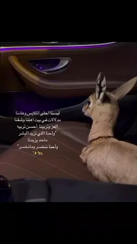 تربينا على جبر الخاطر و تمني الخير للغير ، تربينا على الكلمة الطيبة و حب الناس ، تربينا تربية نظيفة و الكل يشهد عليها .♥️🦌#لايك_متابعه_اكسبلور #سبها_ليبيا_الجنوب_الليبي_المنشية 