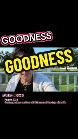 if others do not see in us a simple uncorrupted goodness, they do not see the spirit of God ##goodness##ChristianTikTok##fyp##walkwithGOD##biblicaltruth