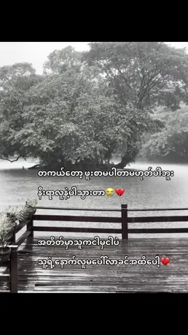 အရင်အတိတ်တွေကို သိပ်လွမ်းတယ်#livephoto 