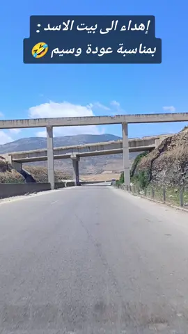 #بيت_الأسد👞👞