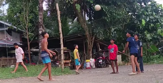 #volleyballworld #followers 