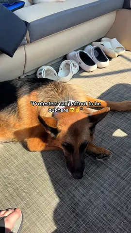 It’s just a boat you dweebs 🤣 the ramp at the state park in Florida is not peak  luxury travel #dogs #adventuredogs #travel #protest 