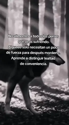 #reflexion #mentepositiva #saludmental #frasesmotivadoras #parati 