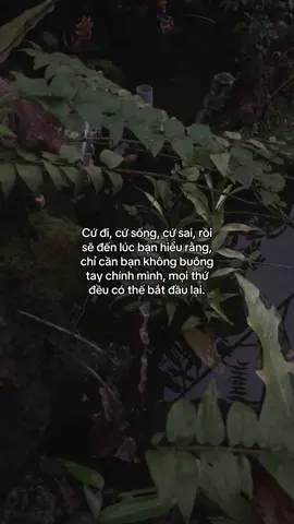 …#tamtrang #story 