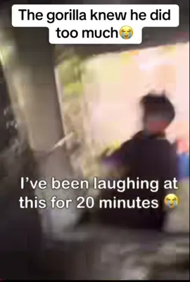 Bro was too in character 😭 #StreamerLife#GamingCommunity #StreamHighlights #TwitchClips #LiveStreaming #fyp #funny #laugh ##viral #kick #funnyvideos #comedy #movies #laughing #memes 