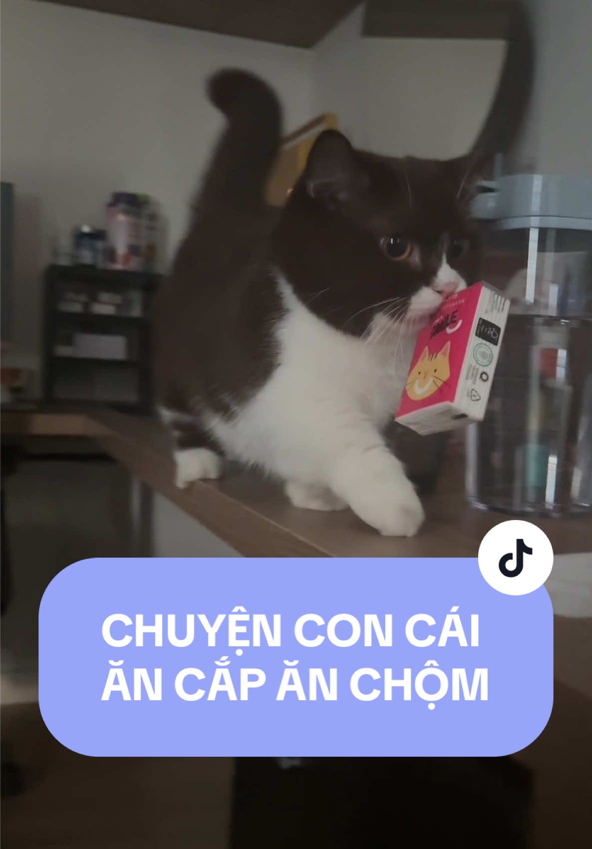 Không nuôi nổi nữa #nhacona
