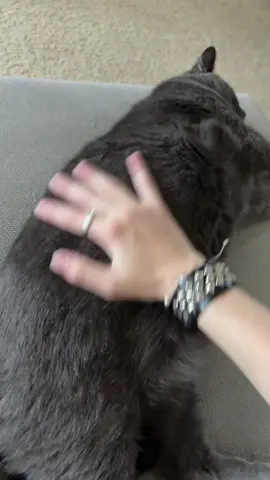 #kitty 💖