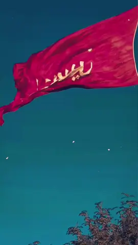 #CapCut #أهل_البيت_عليهم_السلام #ياحسين❤️😭 