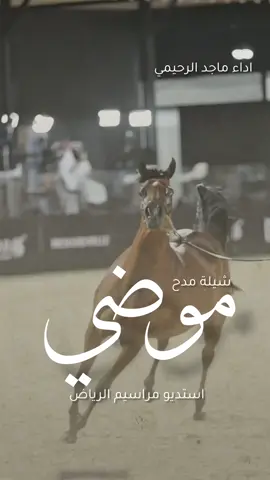 شيلة باسم موضي 2026 شيلة مدح باسم موضي ' اداء ماجد الرحيمي ' #شيلة_باسم_موضي #شيلة_موضي