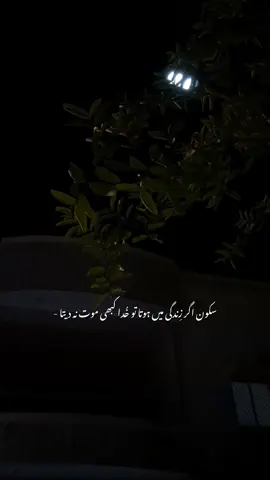 #fyp 