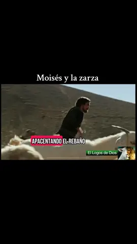 Moisés y la zarza