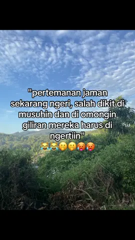 🆙🆙🆙#nopalsumsel 