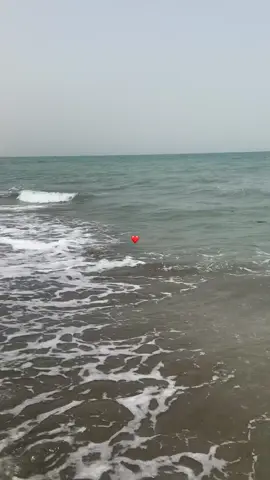 - #الشعب_الصيني_ماله_حل😂😂 #السعودية #explore #اكسبلورexplore #اكسبلورexplore_o🤭❤_تصويري 