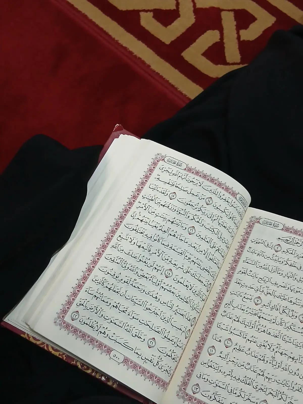 #قران_كريم #الحمدلله_دائماً_وابداً #قرأن_كريم_راحة_نفسية #quran 
