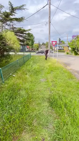 #cleaningasmr #uncloggingdrains #cuttinggrass #cleaninghouse #satisfying #asmrsleep #asmrsleeprelax #cleaninggarden #camping #tips #cleaningsatisfying #homecleaning #housecleaning #lawncare #mowing #mowingthelawn #lawnmowing 