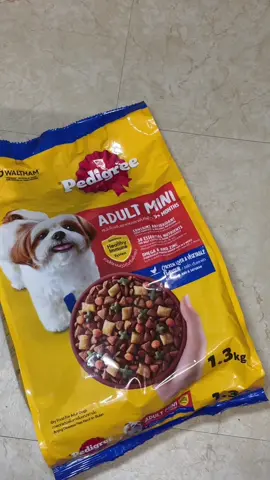 Fave ng mga batuta ko tooo 💓🐶🥰 #pedigree #pedigreeph #pedigreedog #pedigreetastybites 