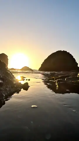 Ocean eyes, hypnotize ✨️ #ocean #sea #waves #sunset #sunsets #oregon #pnw #oregoncoast #calm 