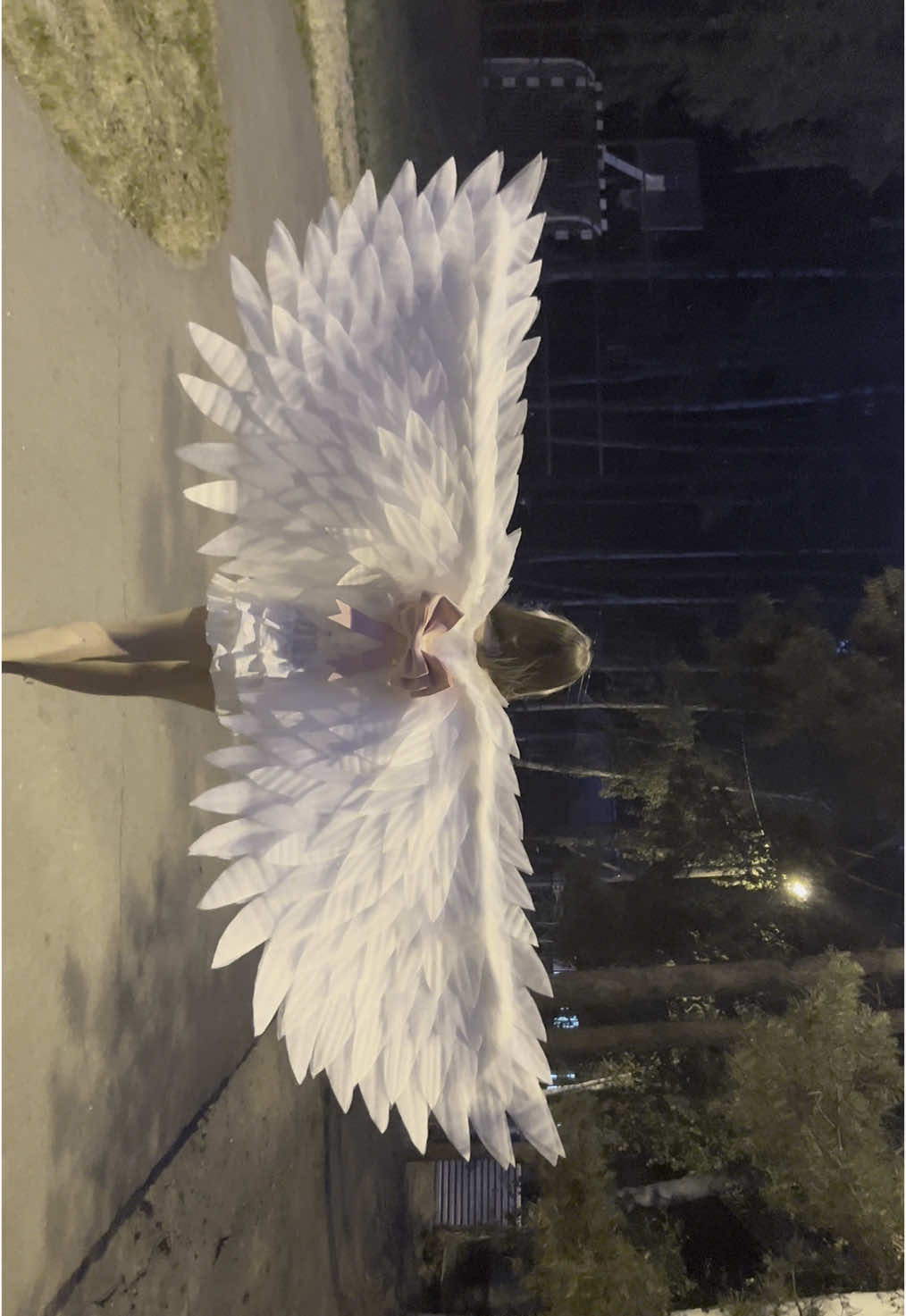 moon, tell me…                                  #angel #angelwings #wings #wingsangel #fyp #fpryoupage #fypシ #xhuongtiktok #ангел #крыльяангела #ангельскиекрылья #крылья #реки #happybirthday 