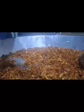 #ALHAMDULILLAH #AJMEER BRIYANI 📞 58178456 PASS ZOT COMMAND POUR TOUT OCCASSION