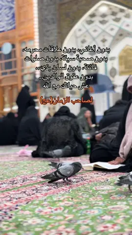 عش حياتك مع صاحب الزمان عج  #العجل_یا_صاحب_الزمان #اكسبلورexplore #النجف #الكويت #السعودية 