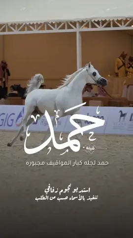 شيلة باسم حمد 2025 شيلة مدح حمد #استديو_نجوم_زفافي #لطلب_الشيلات_0505336824 #السعودية #الكويت #قطر  #تصميم_فيديوهات🎶🎤🎬تصميمي🔥 #تصميم_اسماء_حسب_الطلب #شيلة_باسم_حمد #شيلة_حمد #حمد 
