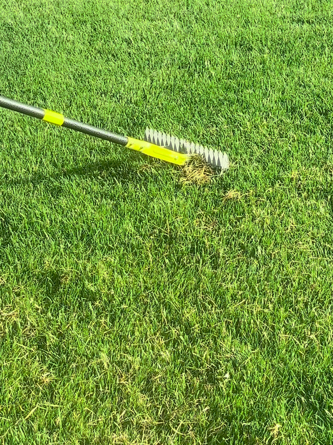 IMG_7388[1] #thaching #thachingfeeling #thachingalawn #lawnthaching #thachingrake #thachrake #thach #dethatcher #dethatcherrake #adjustablerake #ad #fyp #levelinglawn #lawnleveling #deadgrass #tiktokcreatorpicks #tiktokshopcreatorfinds #lovemyhome #dealsforyoudays  Clean up your yard and dead grass with this easy to do thaching rake!