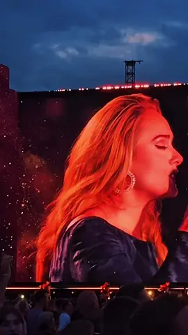 Love in the dark ✨ || #adele #viralsong #loveinthedark #fyp #adelemunich 