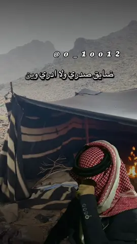 #أكسبلور_شعر_حكم_خواطر 