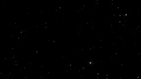 دي عيال عويله رجليها شالتها .  .  #تصميم_فيديوهات🎶🎤🎬 #تصميم_شاشة_سوداء #حالات_واتس #مهرجان 