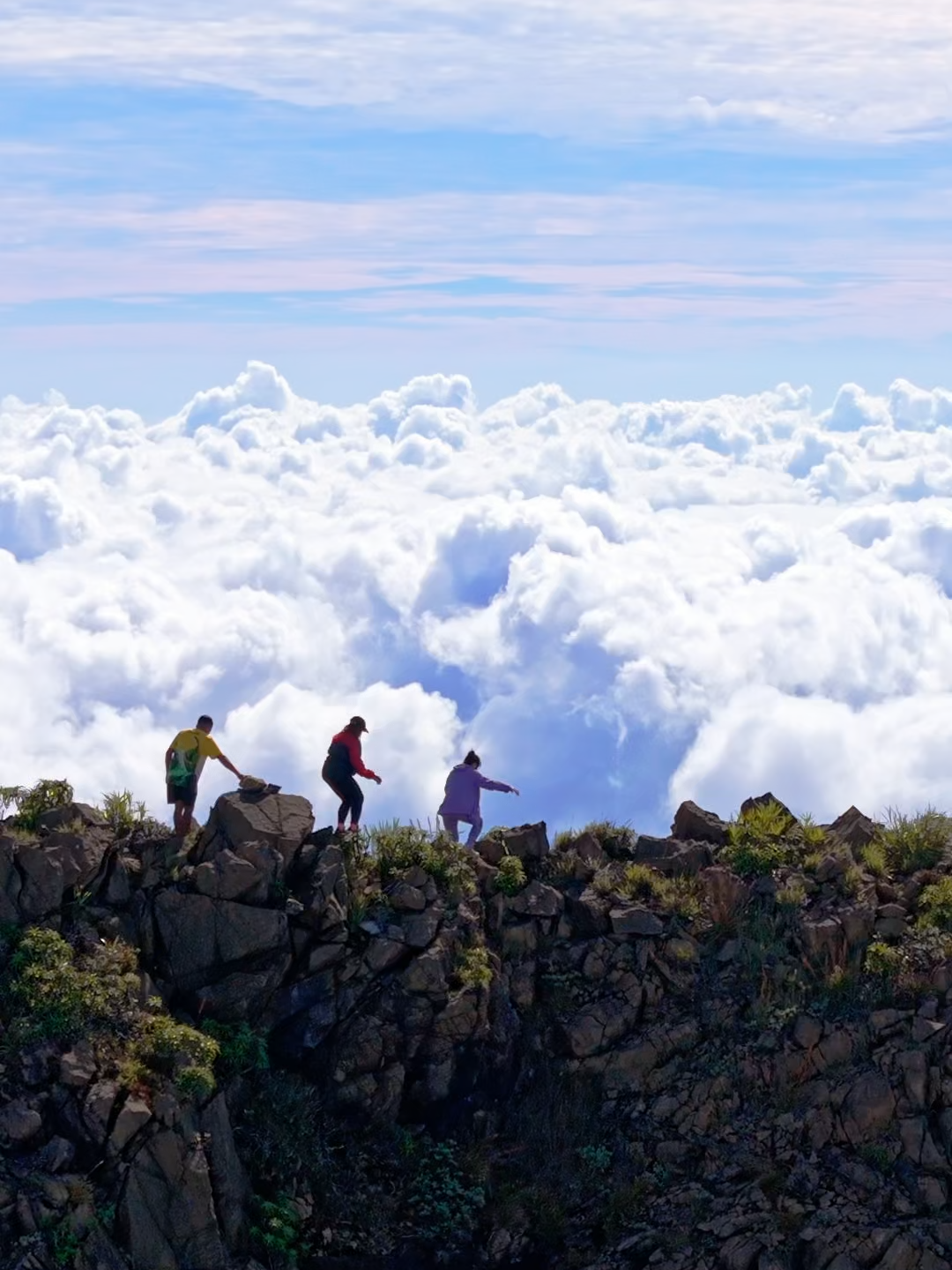 Be free to go out, be wild, and walk above the clouds. ⛰️Mt. Victoria Mountain Range, Palawan #Hiking#mountains#seaofclouds#palawan#drone#fyp @dji_official @djiphilippines
