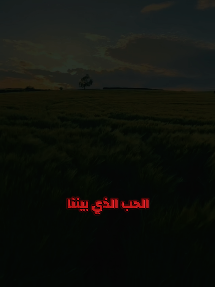 رسالة حب لحبيبتي #حبيبتي_وروحي🤍💕🤍 #حبيبتي_من_تكون #حبيبتي #زوجتي_الغالية #زوجتي 