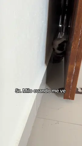 Díganle algo 🤣🤣🤣