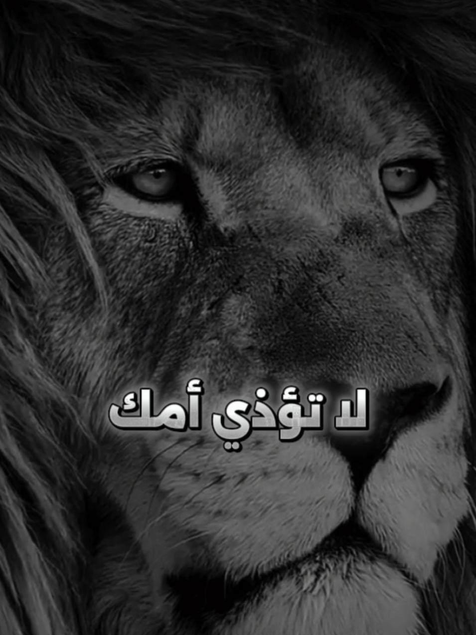 قبل أن ترفع صوتك على أمك تذكر...