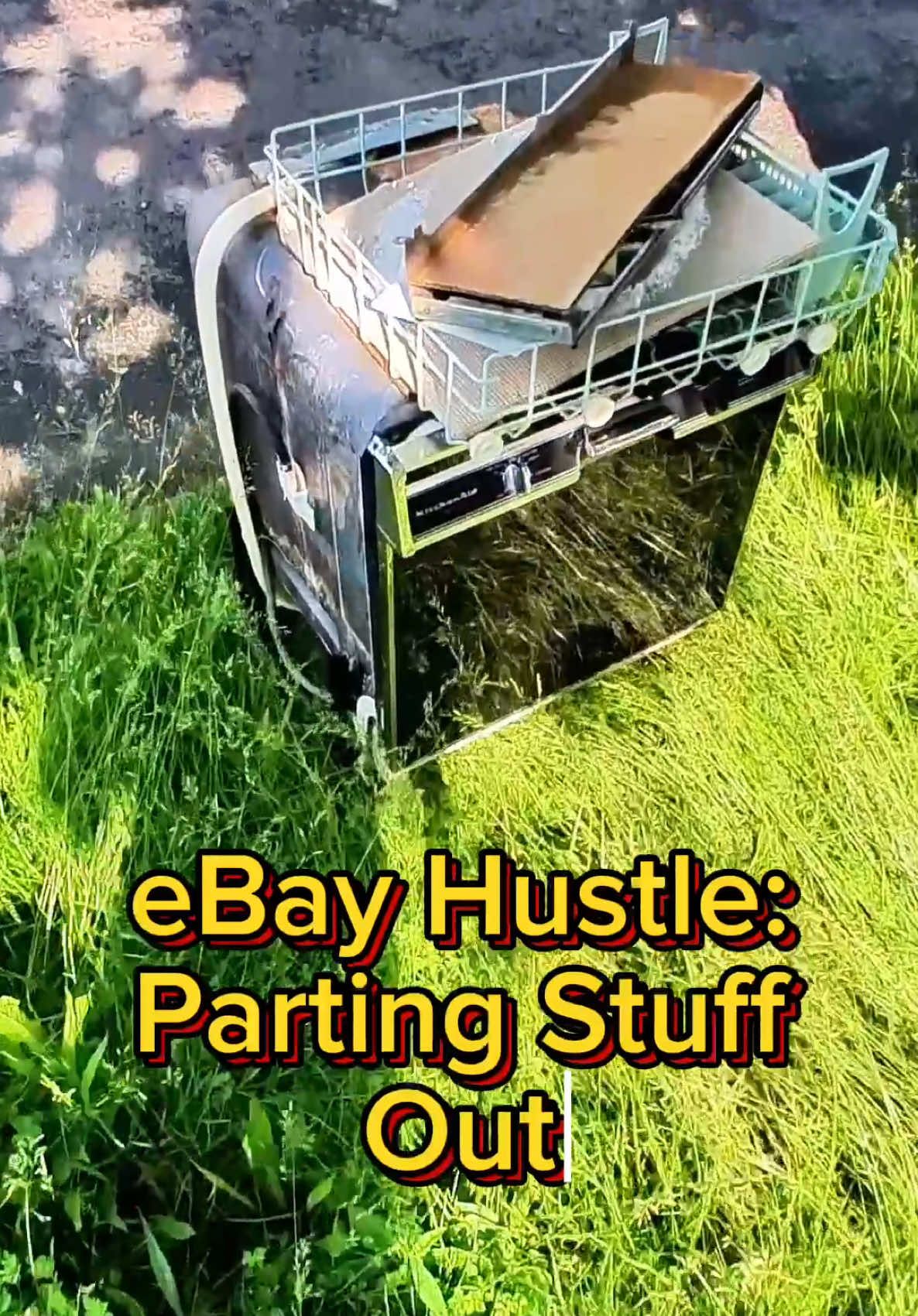 What’s your favorite eBay hustle? #dumpsterdiving #flipping #reselling #ebay