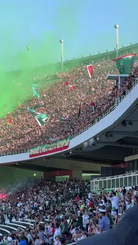 #viragesud #mouloudia_virage_sud🇮🇹🙏 #مولودية🇧🇬🇧🇬_نعشق_فيهااا💚 