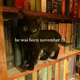 boy version (don’t know if this is exactly what you wanted😞) @cam ✞ #fyp #viral #cutecafe #fyyyyyyyyyyyyyyyy #edit #birthday #november12 #hewasborn #downton 