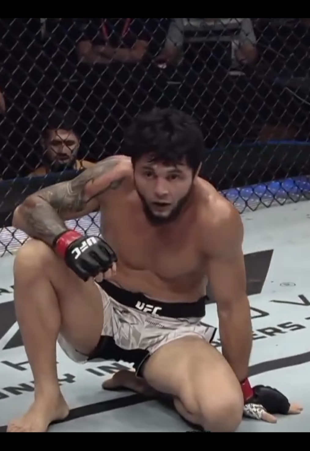 Qismət 🖤 #ufcbaku🇦🇿 #tofiqmusayev 