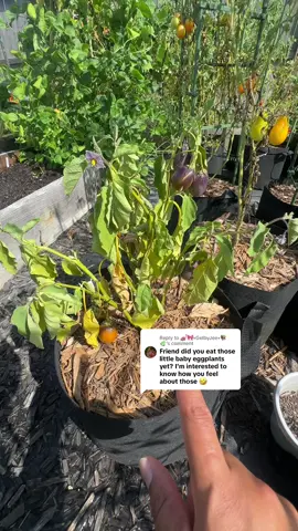 Replying to @💅🏽🎀•GelbyJee•📚🌿 