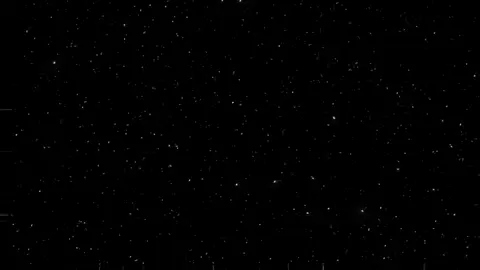 شكارك بيها فناكه #foryou #fyp #fyyyyyyyyyyyyyyyyyyy #fyyyyyyyyyyyyyyyyyyy #fy #اغاني_مسرعه💥 #اغاني 