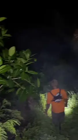 #dimetris 