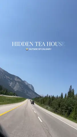 would drive solely for this Matcha 🤭🌿 📍 Wagashi Tea House #calgaryfoodie #yyc #yycblogger #alberta #calgaryeats #matchalover 