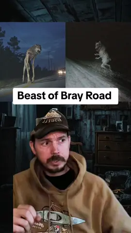 Beast of Bray Road 💀 #beastofbrayroad #brayroad #beast #roadbeast #werewolf #cryptid #wisconsin #madison #wisconsincheck #creepytok #spookytok #cryptids 