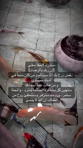 #ان_ربك_بلمرصاد #اللهم_اكفينا_شر_خلقك🤲🥀🥀 #اعوذ_بالله🕋 #من_كل_شر_وعين_وحسد #ترند #اكسبلوررر #مصر_العراق_السعودية_تونس_المغرب_الجزائر #السعودية #سوريا #الجزائر #الجميع #fyp #viralvideo #اجر_لي_ولكم_ولوالدينا_وللمسلمين 