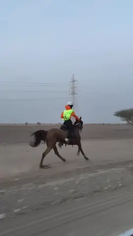 جود وافلامها 🤣🤣🫴🏼                                                            #CapCut #explore #oman🇴🇲 #like #الشعب_الصيني_ماله_حل #الهاشتاقات_مالها_داعي #foryou #foryoupage #fo #viral #hours #fyp #خيل_وخياله #خيل_وخياله🐎 #barka #race #sohar #pov #صحار 